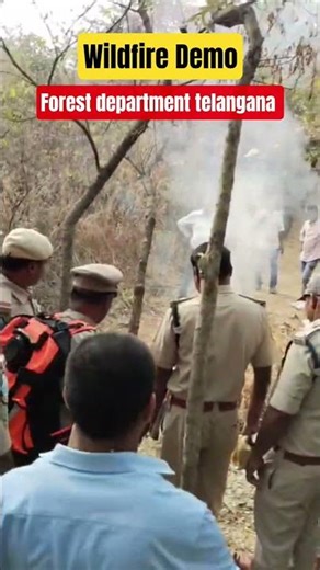 forest firefighting demo and training at telangana forest department #wildfires #forestfires