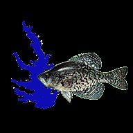 Hooker Harwell's Guide Service - Lake Conroe Crappie Fishing Guide