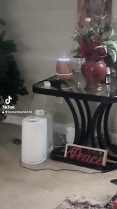 Gurunanda diffuser | Sincere Barber | Facebook