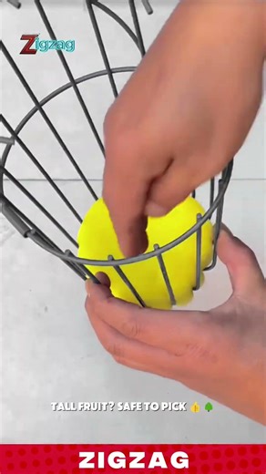 Simple & Efficient Fruit Picker Tool for Harvesting and Collecting in High Branches