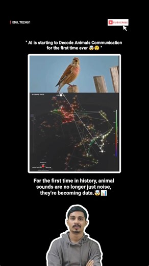 This visualization shows how artificial intelligence analyzes animal vocalizations -Read description