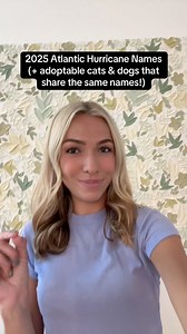 6.2K views · 311 reactions | 2025 STORM NAMES! Hurricane names seem less troubling to hear when you pair them with cute adoptable cats & dogs??? 沈 Less than a month until hurricane season kicks off (June 1). | Weather With Lauren - Meteorologist Lauren Kreidler | Facebook