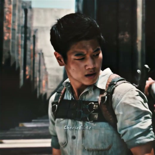Lights Camera Action. | Maze Runner Edit.