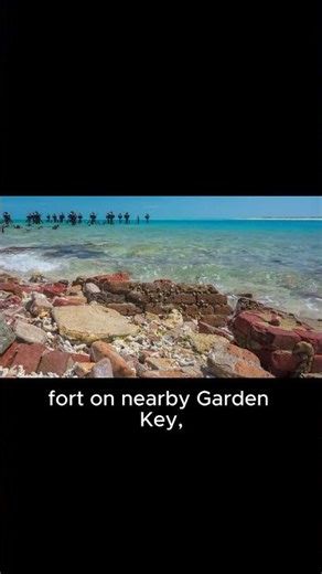 Shipwreck Fort Builders #dailyfacts #facts #interestingfacts #shorts