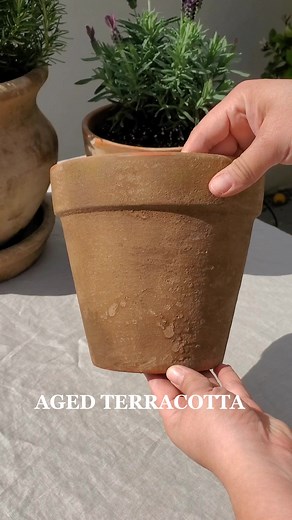 DIY Aged Terracotta Pots: Get the Look Fast!