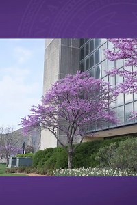 3.3K views · 89 reactions | Future students, you still have opportunities to virtually visit campus and fall under its magic spell. #kstatestrong See more #kstatestrong messages from across our campuses at www.k-state.edu/kstatestrong. | Kansas State University | Facebook