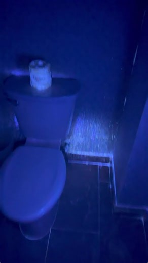 Hotel Cleanliness Test: Blue Light Reveals Shocking Results