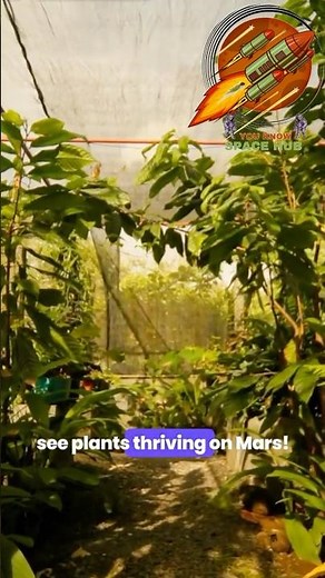 🌱 Can Humans Grow Plants on Mars? The Future of Martian Farming 🌍🪐