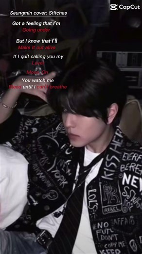 #seungmin #stitches #cover