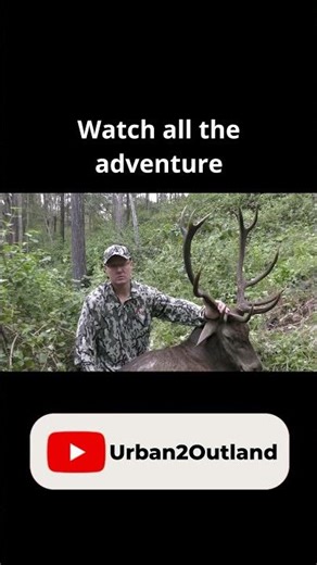 Red Deer Bow Hunt - "Red"emption #archery #hunting #bowhunting #deer #hunter