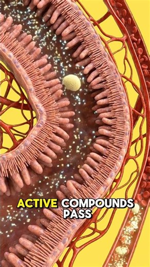 The effect of pre-workout. | #gymtips #bodybuilder #preworkout