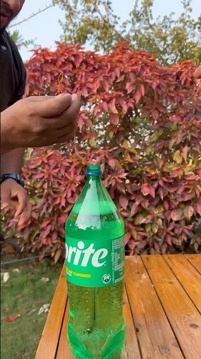 Mentos VS Sprite vs coke Explosion #experiment #coke #mentos