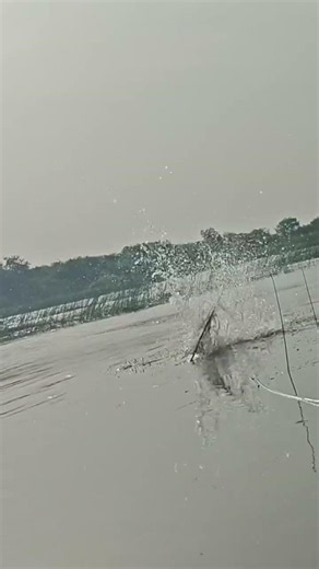 Marle fising #fishing