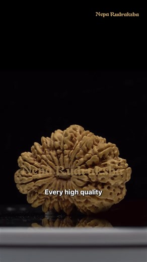 Explore the Power of High-Quality Rudraksha Beads