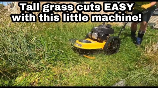 $20 Lawn Mow Job? Here’s What I Delivered