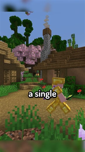 This Minecraft Server Has Every Country!