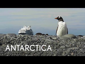Tauck | Small Ship Cruising | Antarctica