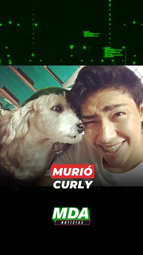 MDA Noticias on Instagram: "FERNANFLOO confirmó la MUERTE de CURLY"