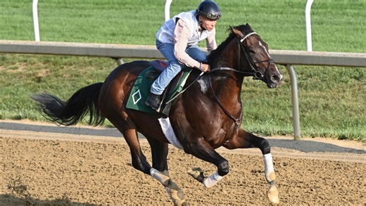 2025 Travers Stakes Cheat Sheet