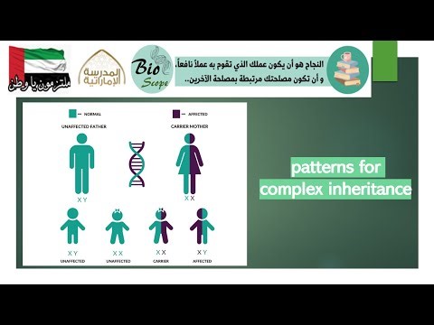 Patterns for Complex Inheritance - Part 2