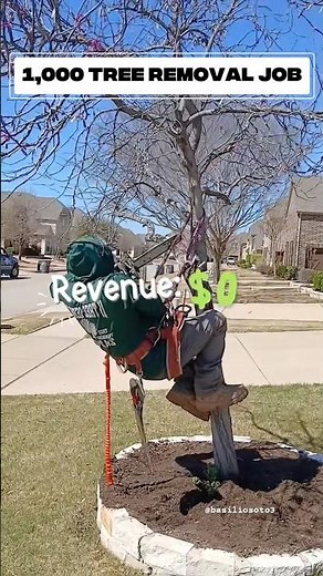 Record Breaking Tree Removal #tree #work #construction