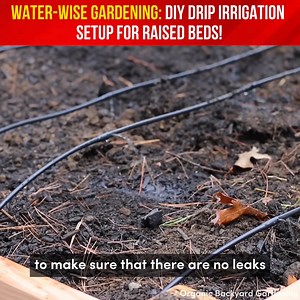 Say goodbye to hand-watering stress! Learn how to set up a drip irrigation system for your raised beds, making gardening a breeze.  #SmartGardening #DripIrrigation | Indoor Plants Advisors | Facebook