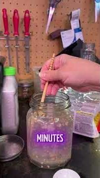 Do You Have Gnats?!! #beginnergardener #seedsowing #gnat #gardening #gardeningtips #shorts