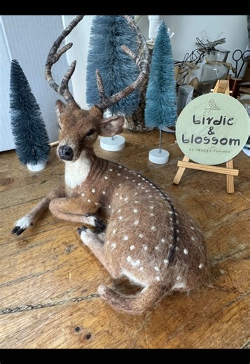 This wool sculpture is based on the Chital known as the spotted deer, it’s a species native to the Indian subcontinent. Its coat is dark rust with white spots such a beautiful animal. There’s something quite mystical about the spotted deer. For needle felting kit and membership enquiries please email birdieandblossom01@gmail.com (sorry no DM’s) * * * #needlefelting #needlefeltingkit #deer #deers #chitaldeer #woodlanddeer #woolsculpture #wirearmature #needlefelt #woolart #needlefeltedsculpture #h