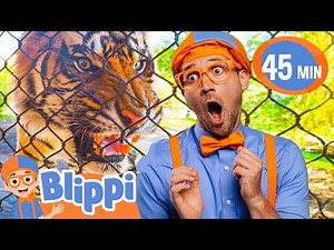 Blippi Visits a Zoo & Aquarium | Blippi's Stories and Adventures for Kids | Moonbug Kids