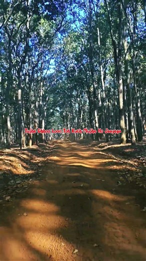 Barbaad Song ♥️#barbaad #jubinnautiyal #saiyaara #romanticsong #shorts