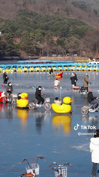 겨울 낭만 가득한 포천 산정호수 오리 썰매축제