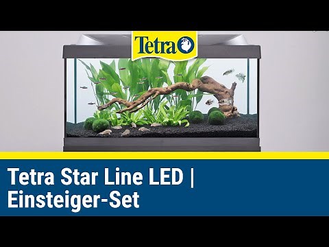 Tetra Starter Line LED Aquarium | Einsteiger-Set in die Aquaristik
