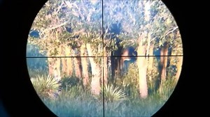 1K views · 23 reactions | Big Deer Kill using the iScope. | IScope Optics | Facebook