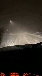Ghostly figure in the blizzard! ❄️🚗 We almost hit him... Zero visibility driving. Suddenly, eyes glowed in the headlights. 💡👀 A dog standing frozen in the middle of the road at -10°C. Why is he out here? 🥶🛑 #blizzard #snowstorm #nightdrive #dogrescue #scary #winter #rescue #animalrescue | Paws & Hope