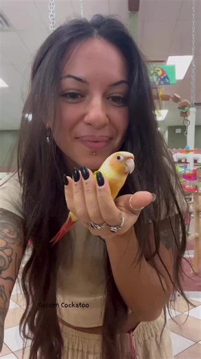 baby suncheek greencheek Conure this little one is so pretty and so friendly!!! Come in and meet her!!! #greencheek #greencheekconure.