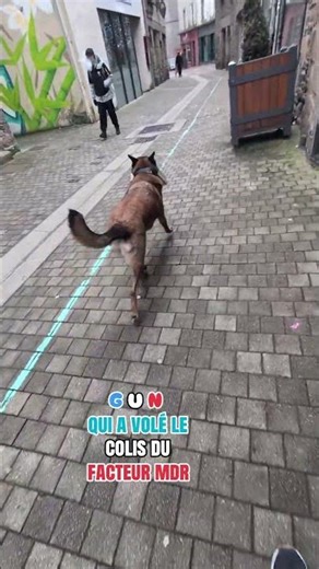 GUN who stole the postman's package lol