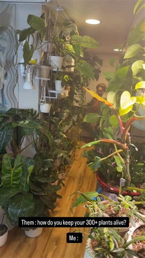 Robert Garcia on Instagram: "Sometimes all your plants need is excitement and of course a good watering and fertilizer routine. #plants #boygirl #funny"