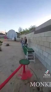 6.1M views · 146K reactions | Cuando los ejercicios de propiocepción alcanzan la excelencia  | www.doogweb.es | Facebook