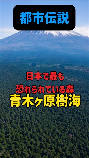 青木ヶ原樹海にまつわる怖い話#怖い話 #プチ知識 #都市伝説 #衝撃の事実 #怪現象