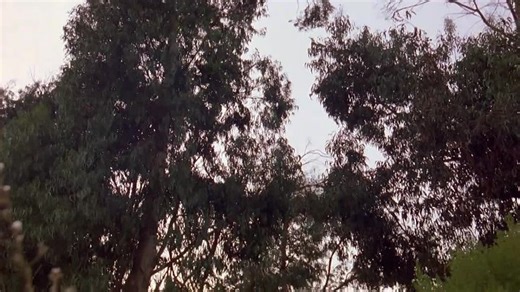 Blind Obsession - Film Complet en Français (Thriller, Drame, Crime) 2001 Brad Johnson