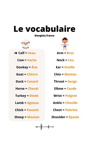 Un peu de vocabulaire à connaître en anglais | Anglais France