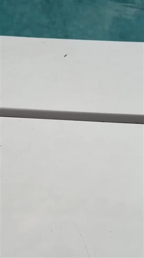 NEW!! Hot Honey Dipping Sauce for a limited time at Pattysmiths Gwelup! Get amongst it! | Pattysmiths Burgers Gwelup