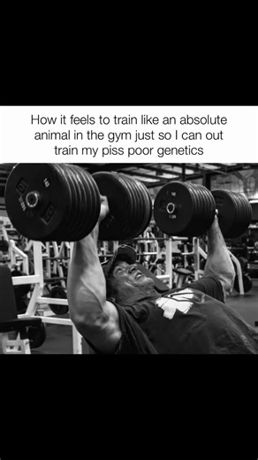 Bench.Barbarian (@bench.barnarian)’s videos with original sound - forgedwill