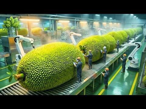 Inside a Massive Jackfruit Processing Plant – The HYPNOTIC Shredding of Modern Vegan Pork Production