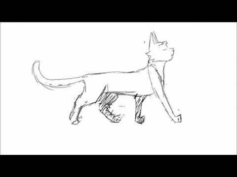 Cat Walk Cycle