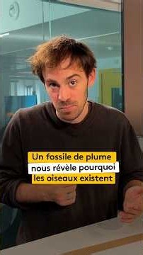 Un fossile de plume nous révèle pourquoi les oiseaux existent