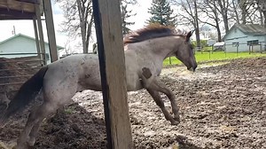 1.1M views · 7.9K reactions | My favorite part of the day is knowing...