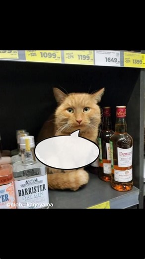 só você sabe o você sente @ludoviajantefc . . . . #filosofia #vazio #limerence #corecore #sentimientos