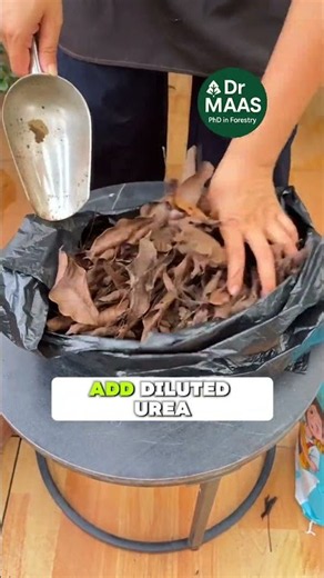 1 4Make Rich Compost from Fallen Leaves! 🍂🌱 Easy DIY Garden Hack