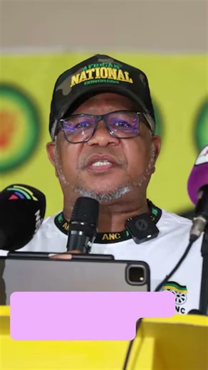 Is Fikile Mbalula South Africa’s next President
